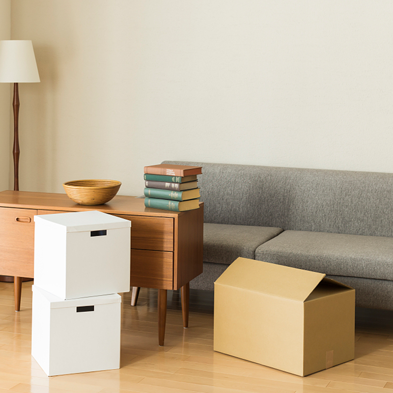 Golfkartonnen meubelverpakkingsdozen