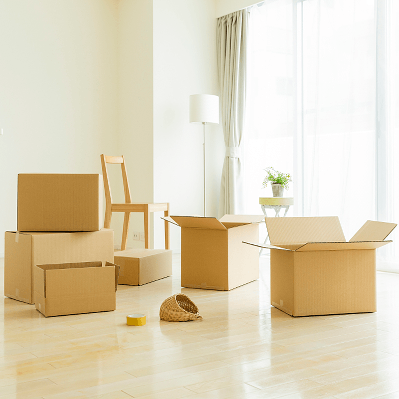 Golfkartonnen meubelverpakkingsdozen