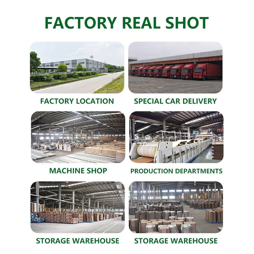 Golfkartonnen fruitverpakkingsdozen